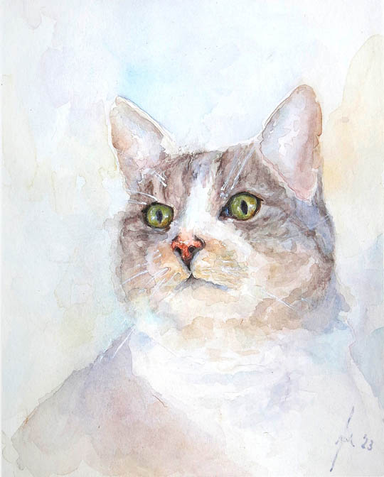 Aquarel Schilderij Dierportret van cyperse poes. Fenna Moehn Hummel Atelier for Hope