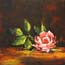 Miniatuur schilderij Roze roosje Atelier for Hope Fenna Moehn Hummel