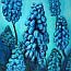 schilderij blauwe druifjesl | Atelier for Hope - Bloemen schilderijen